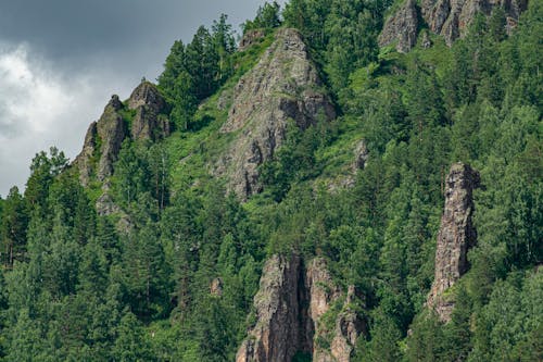 View of a Mountain with Trees