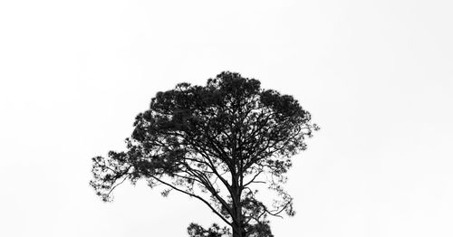 Free arte para cuadro Stock Photo