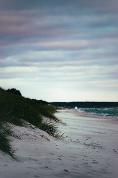 A tranquil beach scene with dune grass and an expansive shoreline under a moody twilight sky.