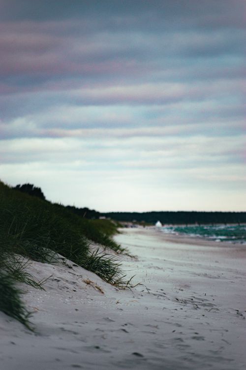 Free A tranquil beach scene with dune grass and an expansive shoreline under a moody twilight sky. Stock Photo