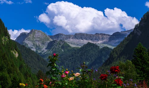 環境, 絶景, 緑の山々の無料の写真素材