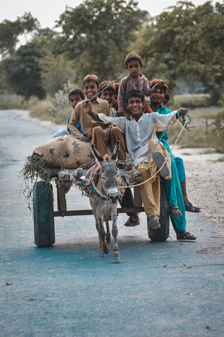 Group Of Kids On A Carriage Pulled By A Mule 