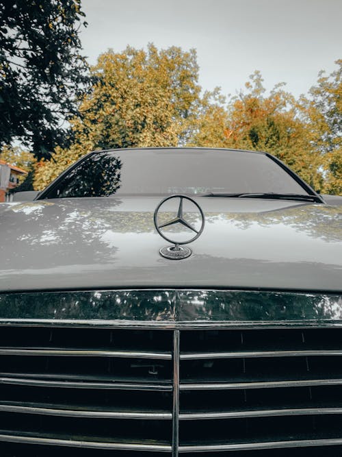 Fotos de stock gratuitas de auto clásico, blanco y negro, coche blanco