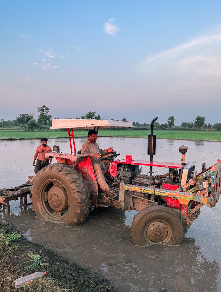 Tractor On A Paddy Field