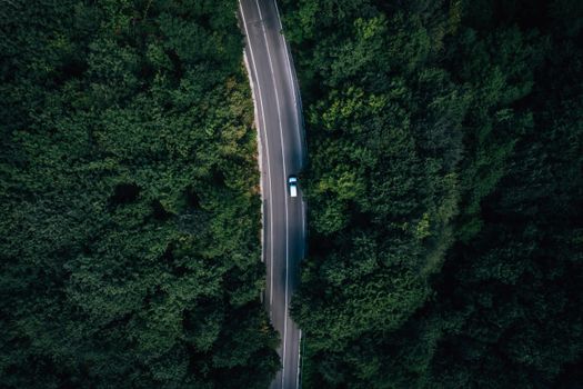 A stunning aerial shot capturing a road winding through a dense green forest in Şile, İstanbul.