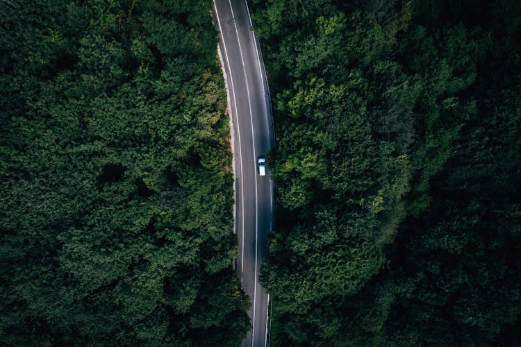 Drone Shot Of A Car On A Road In A Forest