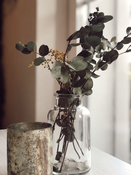 Free Close-up of eucalyptus leaves elegantly arranged in a glass vase, creating an artistic botanical display. Stock Photo