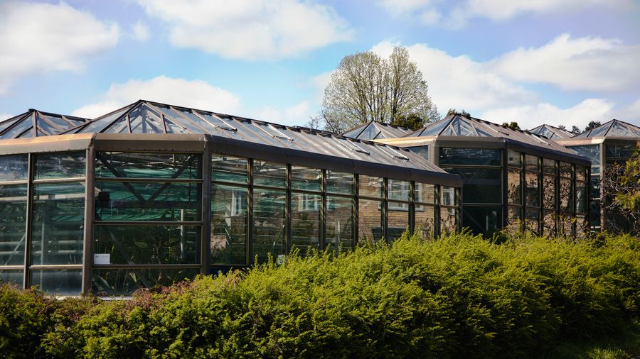 Mini Wall Greenhouses: A Year-Round Garden in 4 Square Feet