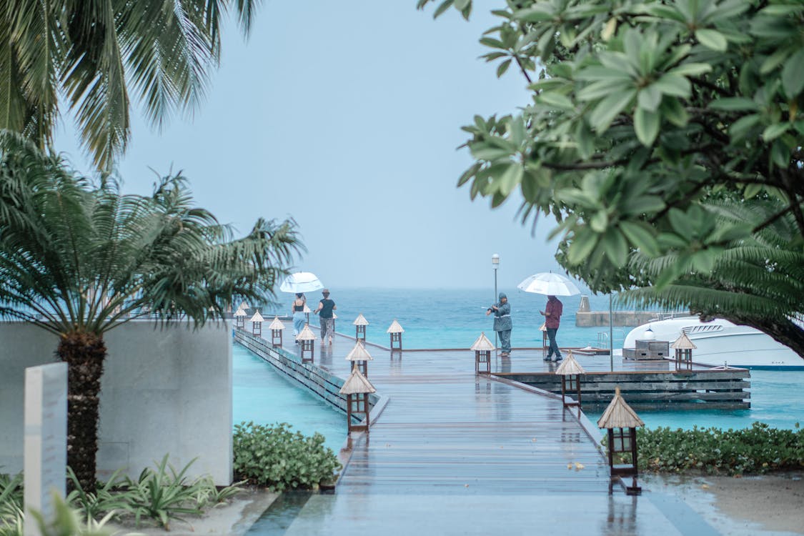 People Walking Wooden Jetty while Raining