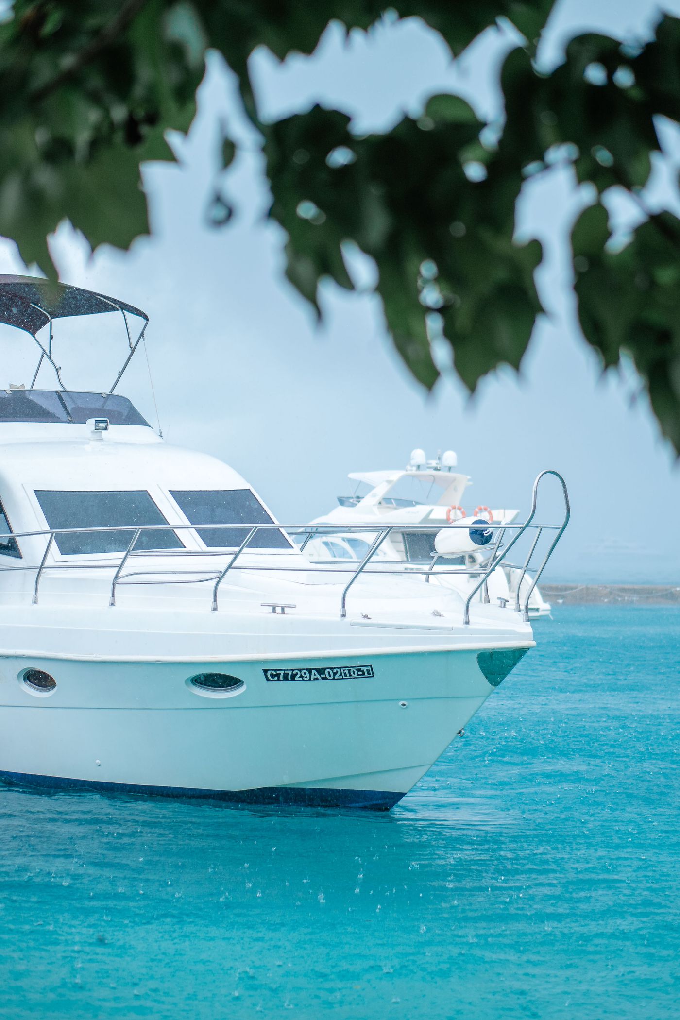 Yacht Charter