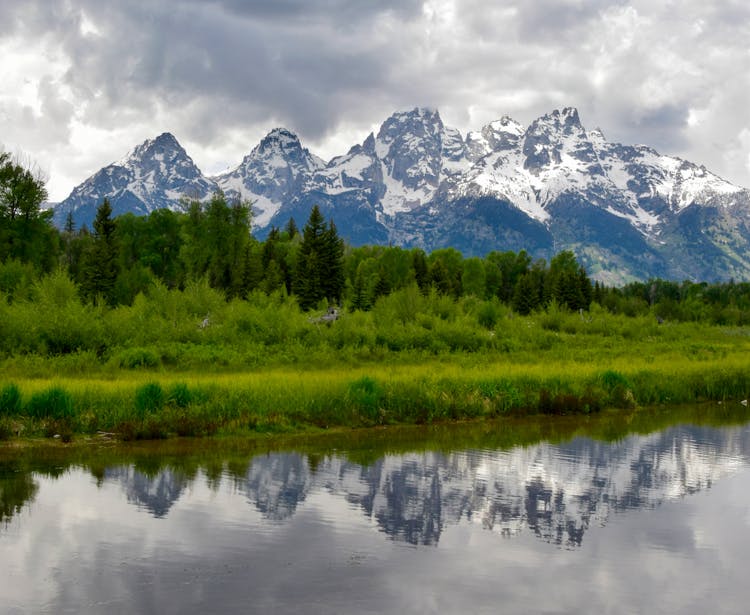 Green Trees Near Snow Capped Mountains