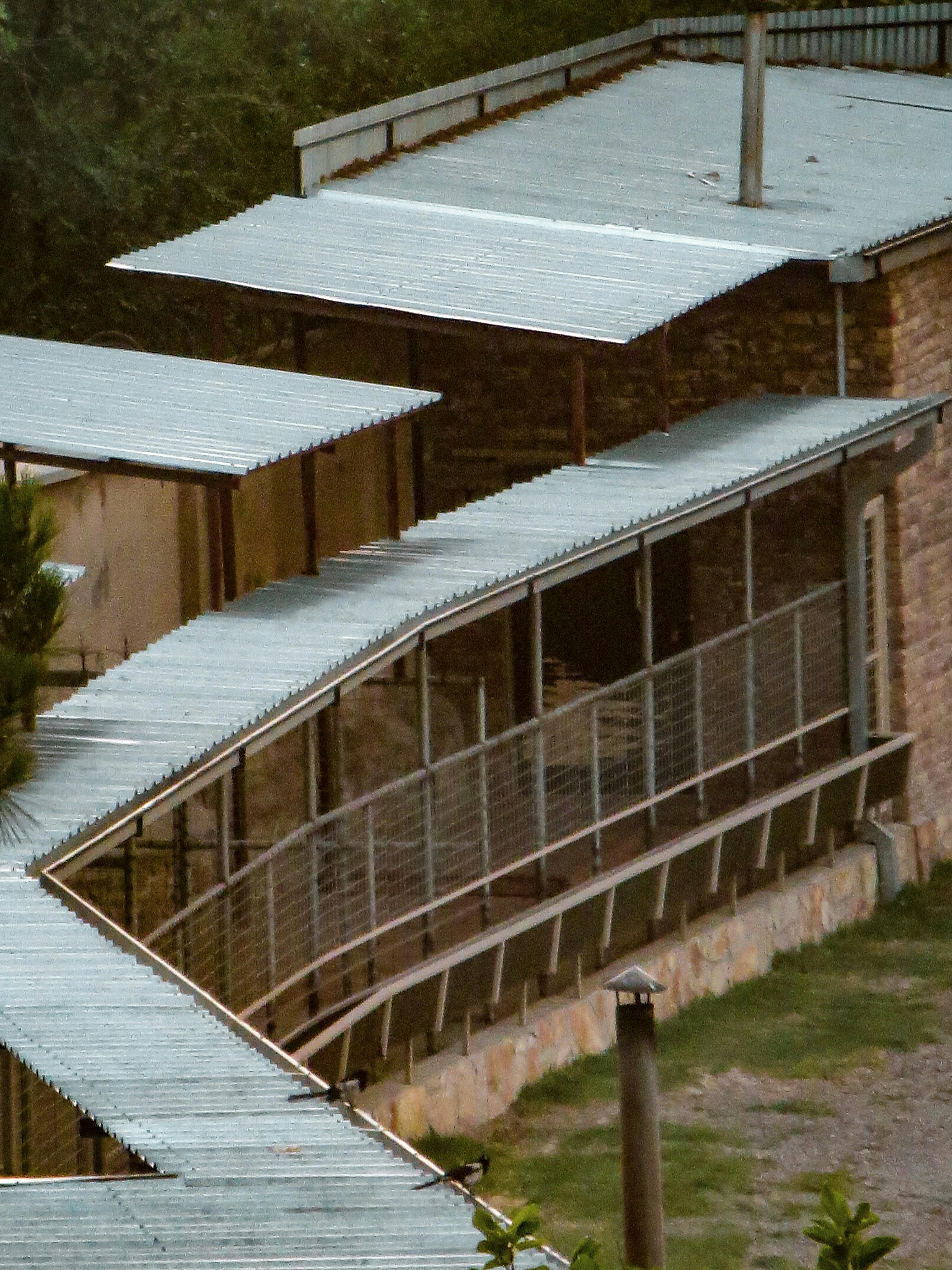 Why are roofs so expensive?