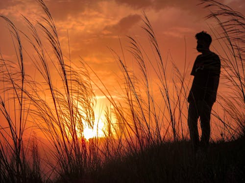 Silhouette of Person Standing on Grass Field