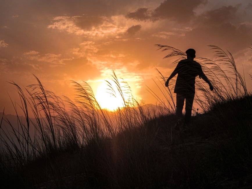 A silhouette of a person walking toward a bright sunrise on a grassy hill, symbolising hope and the beginning of a new chapter with an alcohol recovery specialist. A silhouette of a person walking toward a bright sunrise on a grassy hill, symbolising hope and the beginning of a new chapter with an alcohol recovery specialist.