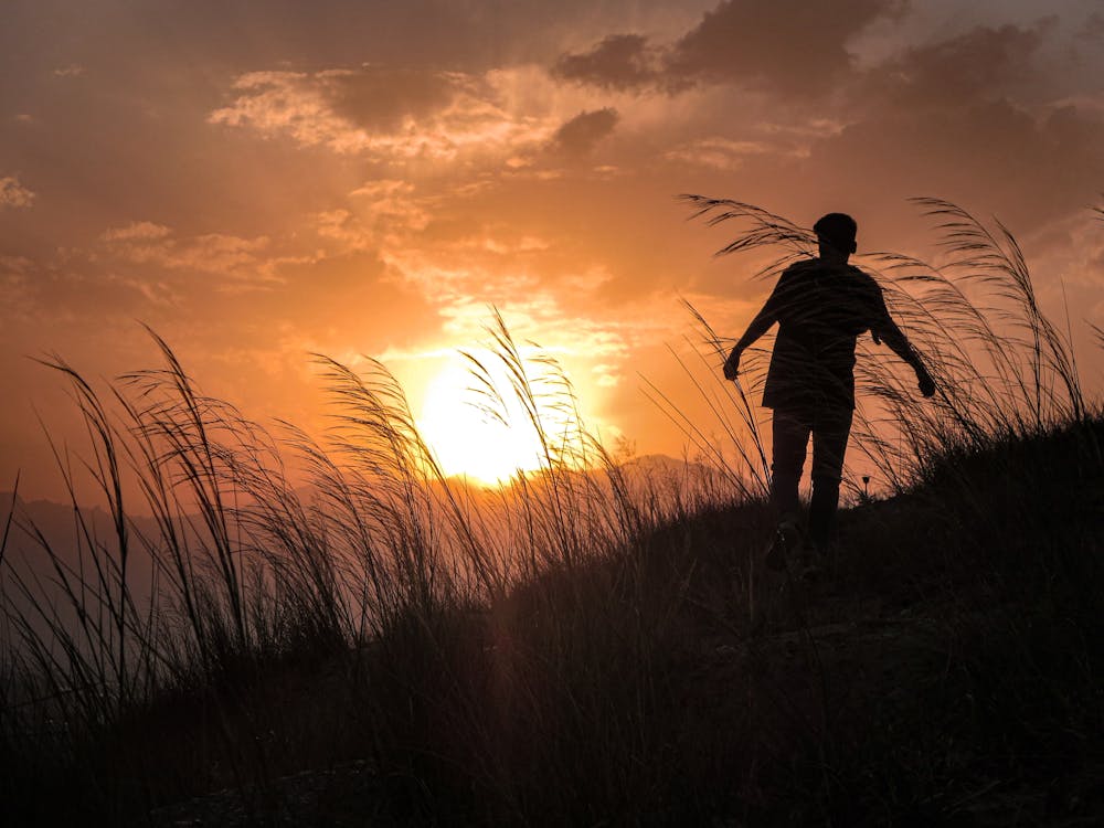 Silhouette of a Person Walking on a Grass Field at Sunset