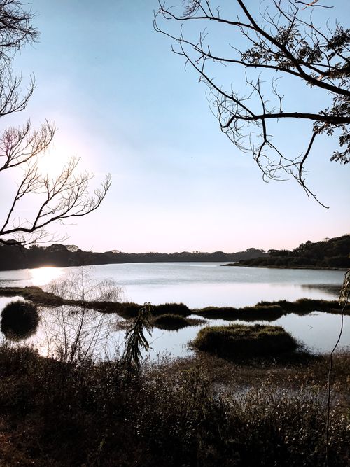 Free Peaceful lakeside scene with tree branches and serene water under a clear sky. Stock Photo