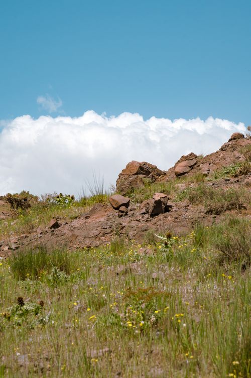 Free A rocky cliff with green vegetation under a bright blue sky and white clouds. Stock Photo