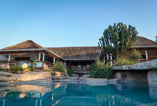 Gratuit Imagine de stoc gratuită din acasă, cămin, piscină Fotografie de stoc