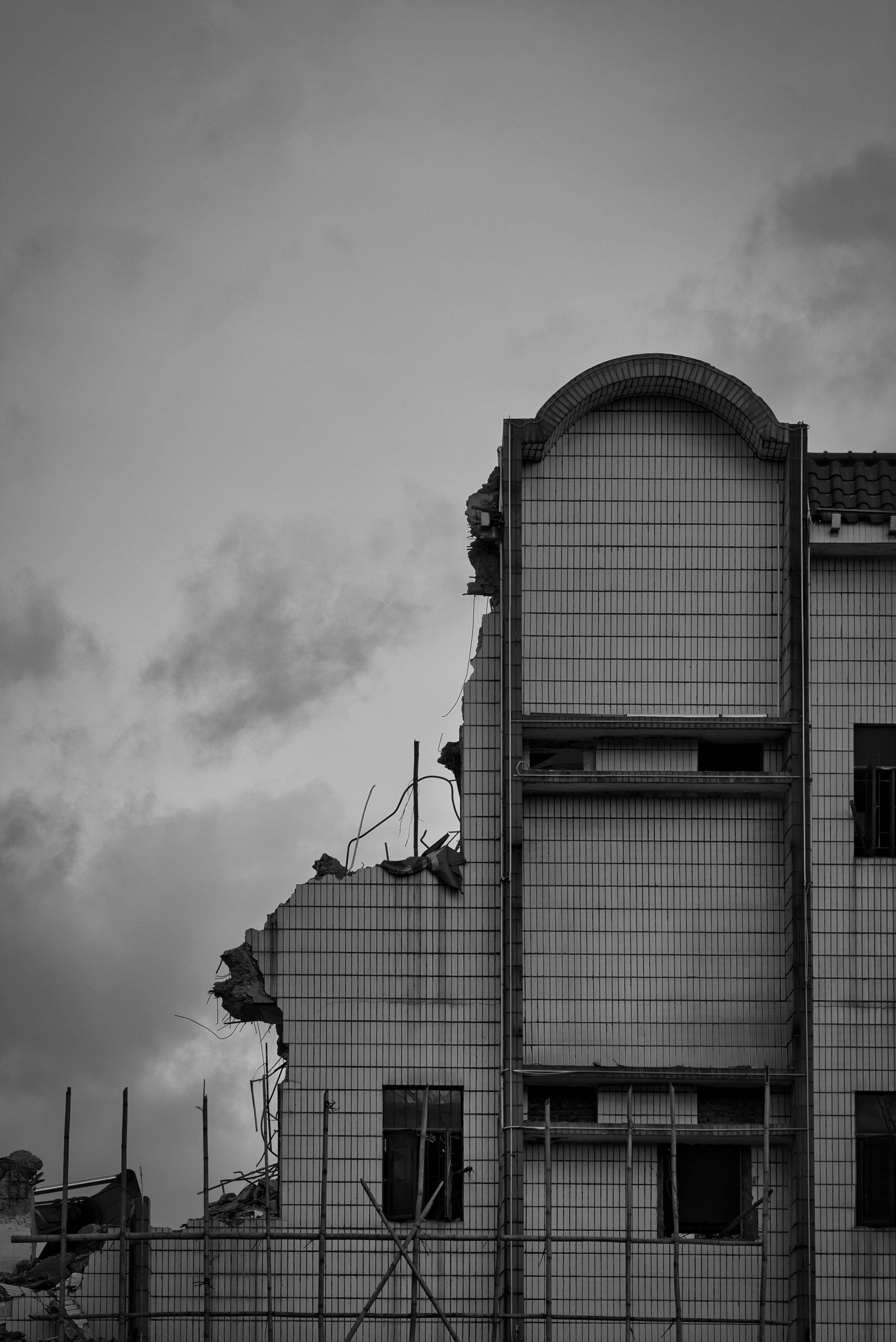 Does vinegar destroy black mold?