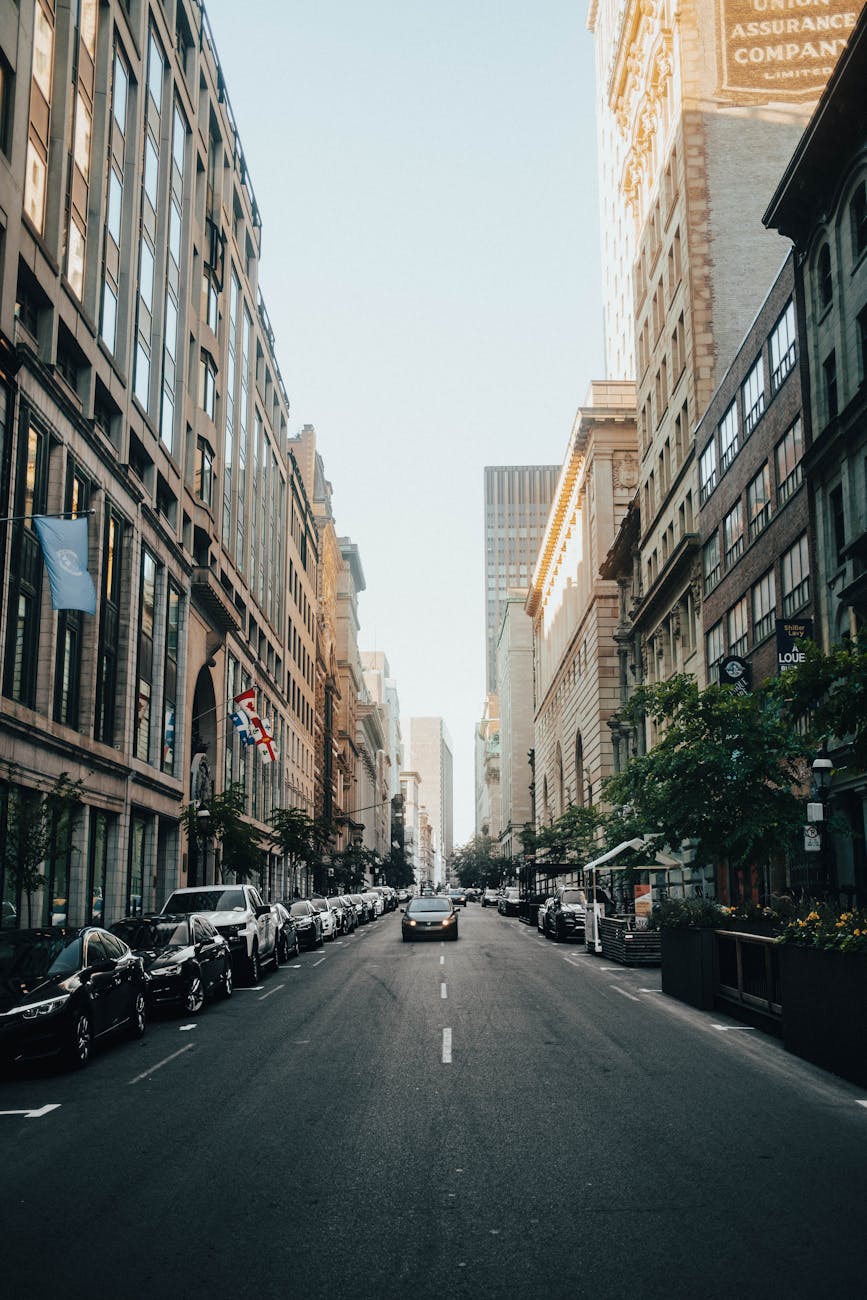 restaurants gustavus