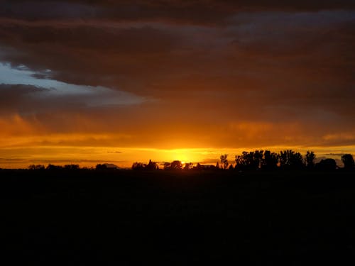 Silhouette of Grass Field During Sunset