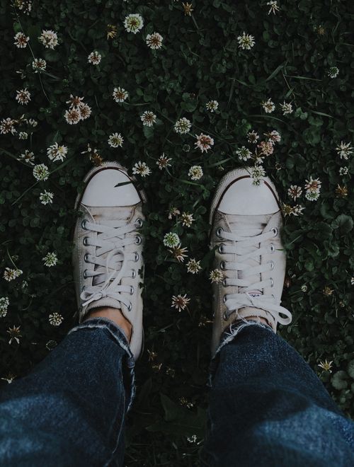 Free White sneakers on clover and flowers, casual fashion on a summer day. Stock Photo