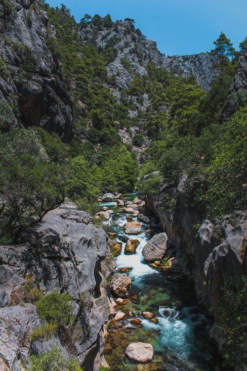 Free A tranquil mountain stream flows through a rocky canyon surrounded by lush green forest foliage. Stock Photo