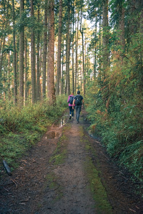 Hikers Walking on a Footpath