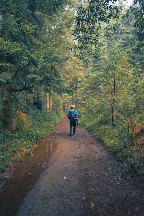 Man Looking Up on Tall Trees