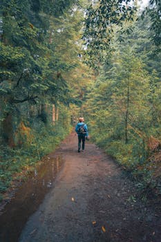 A lone hiker explores a lush forest trail in Valle de Bravo, Mexico, surrounded by vibrant greenery.