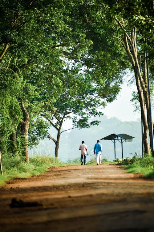 Two People Walking on a Path