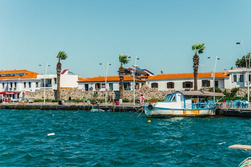 ağaçlar, balıkçı, deniz içeren Ücretsiz stok fotoğraf