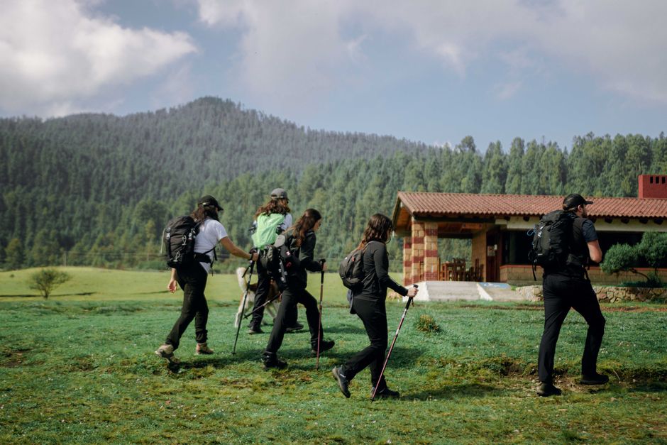 Fotomural Senderistas exploran un sendero escénico en Valle de Bravo, México, rodeados de exuberante vegetación.