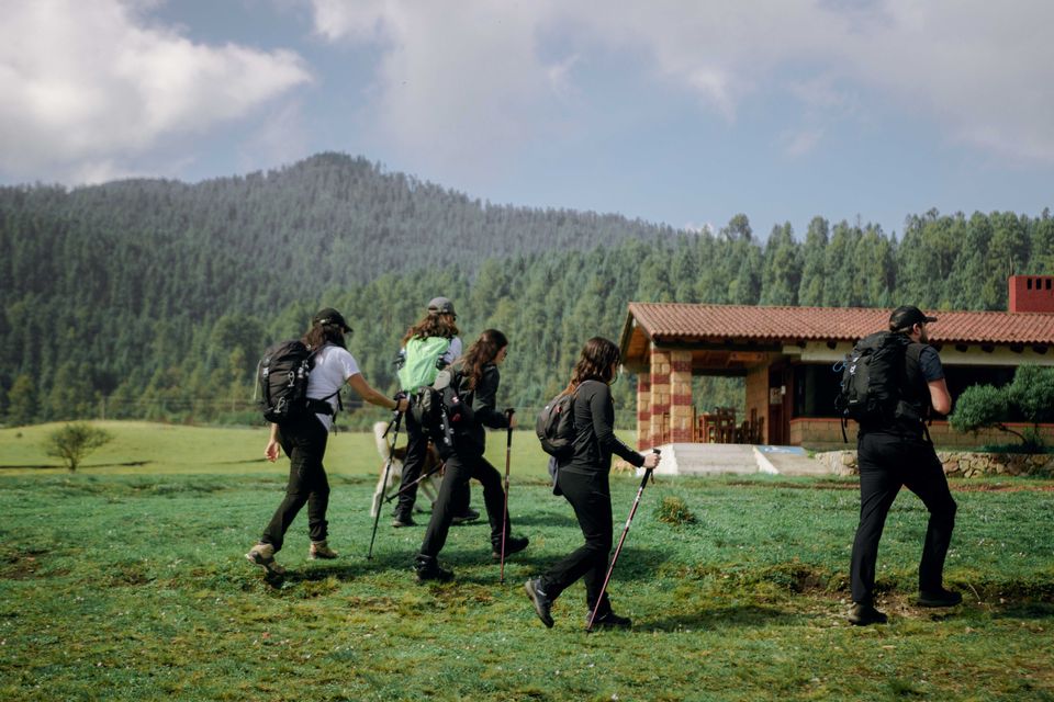 Group carrying backpacks through green woodland