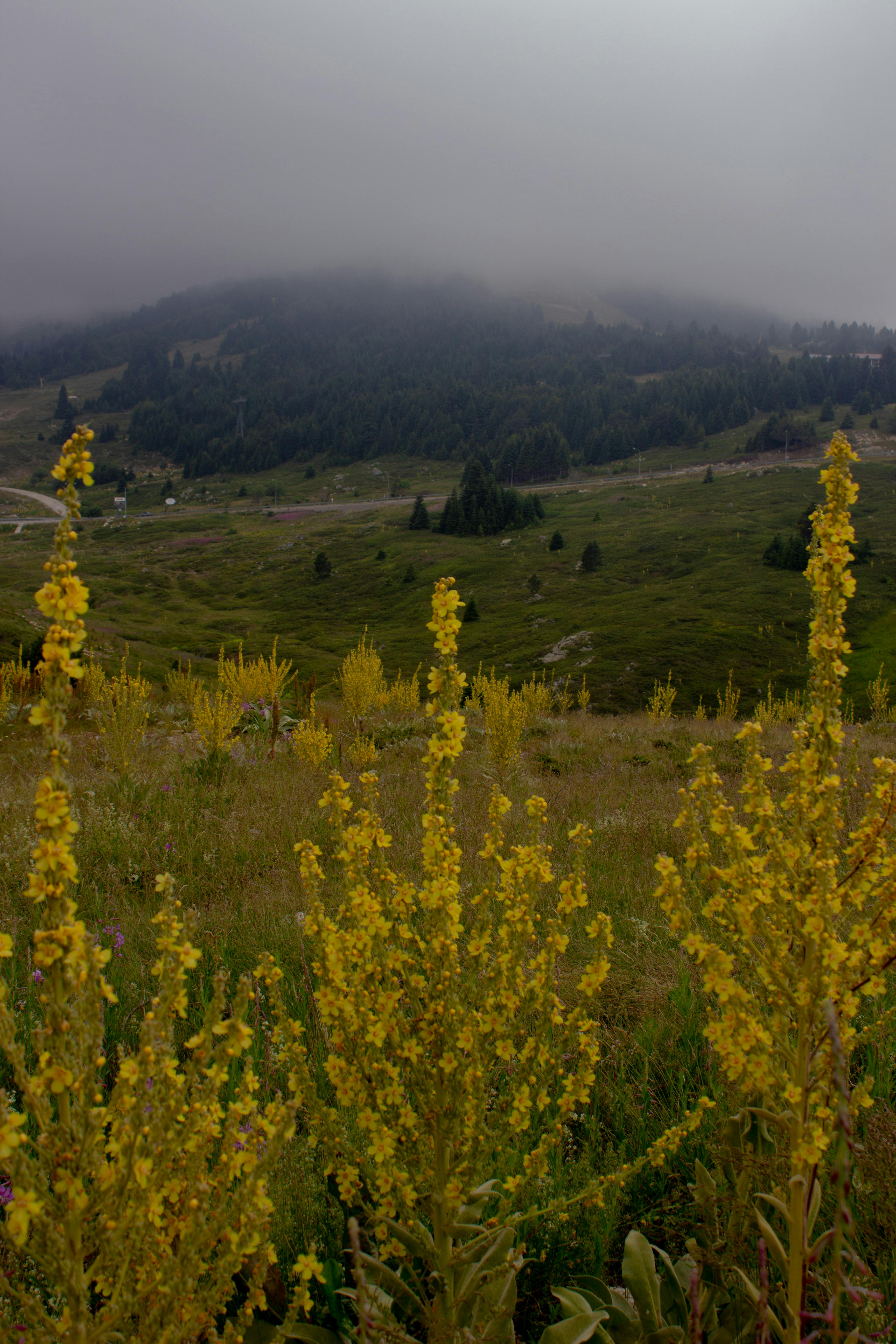 Photo by birkaybolushikayesi