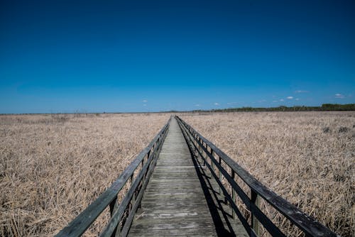 Free stock photo of boardwalk, canada, hecla state park
