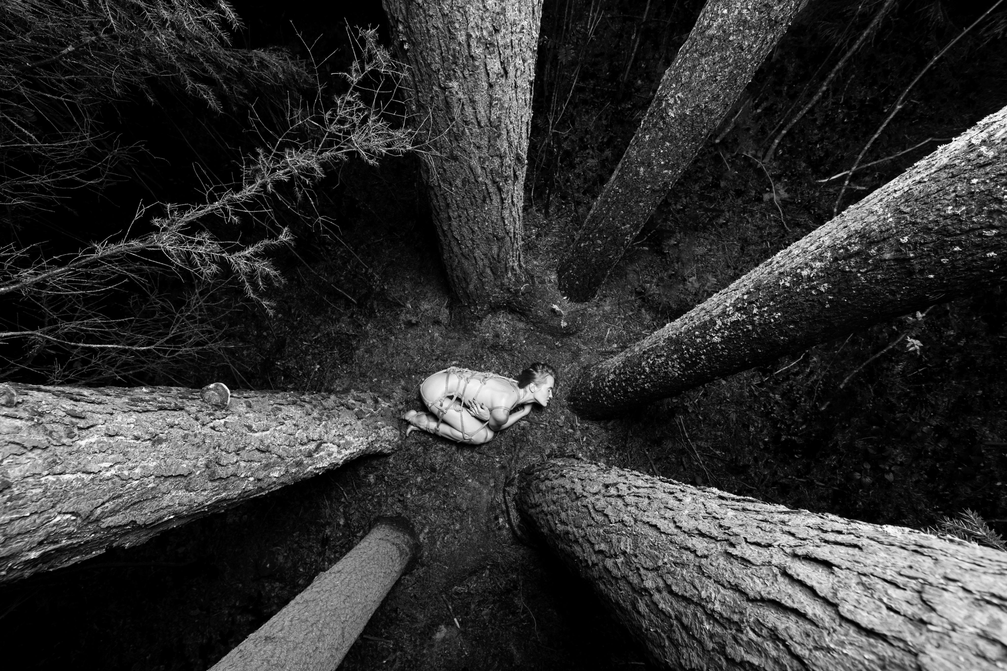 naked tied woman lying in wood