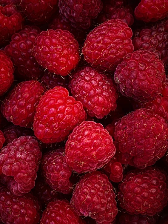 Close-Up Shot of Raspberries · Free Stock Photo