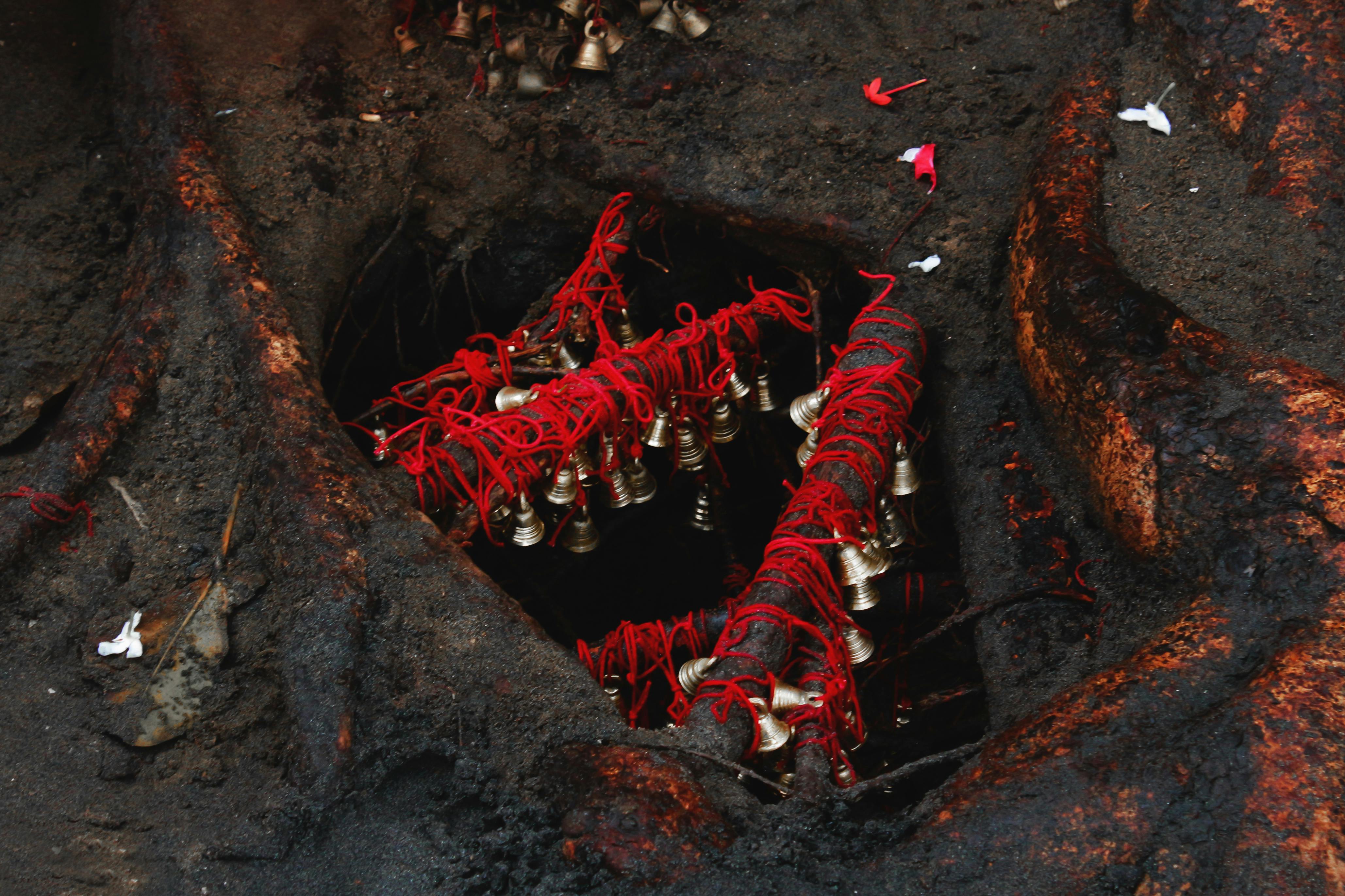 Bells tied to tree root religious · Free Stock Photo