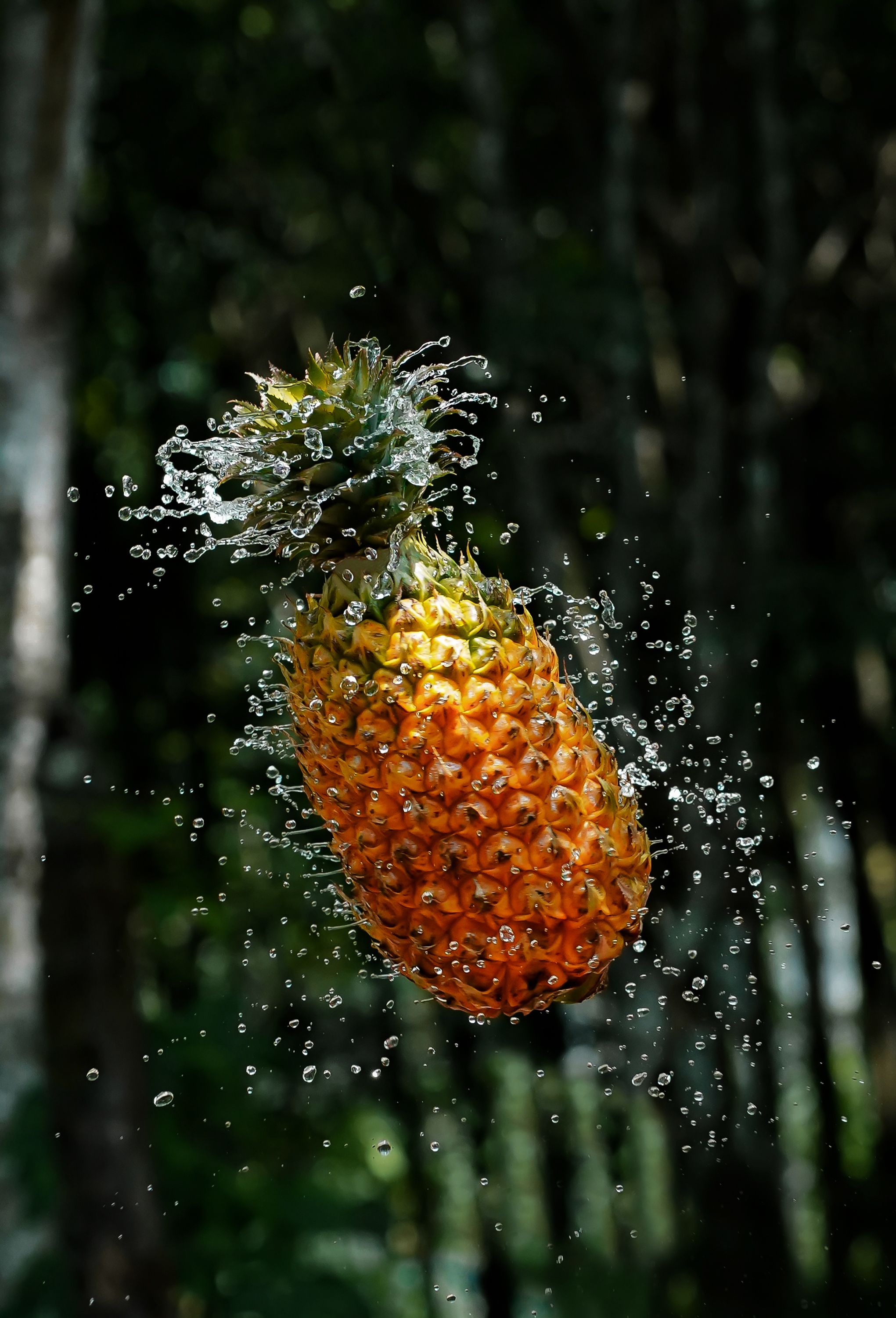 Foto de stock gratuita sobre de cerca, fresco, fruta, piña, salpicadura ...