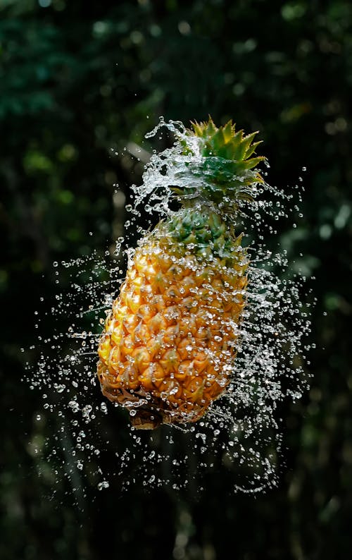 Splashing water on yellow pineapple fruit
