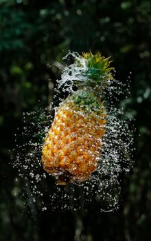 A vibrant pineapple captured in mid-splash against a blurred natural background, highlighting freshness and motion.