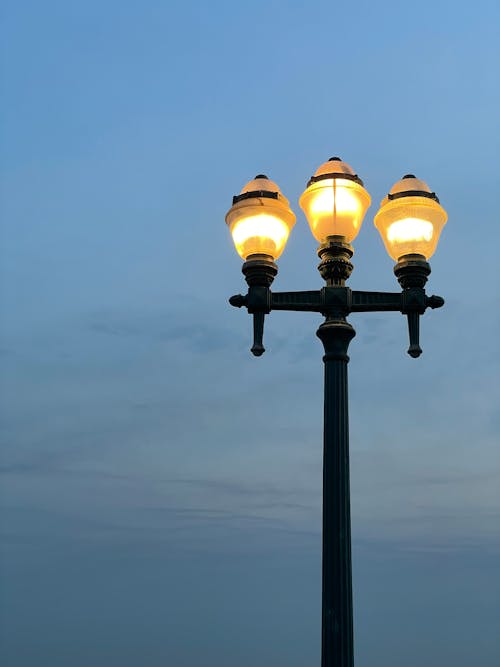 Základová fotografie zdarma na téma osvětlený, pouliční lampa, vertikální záběr