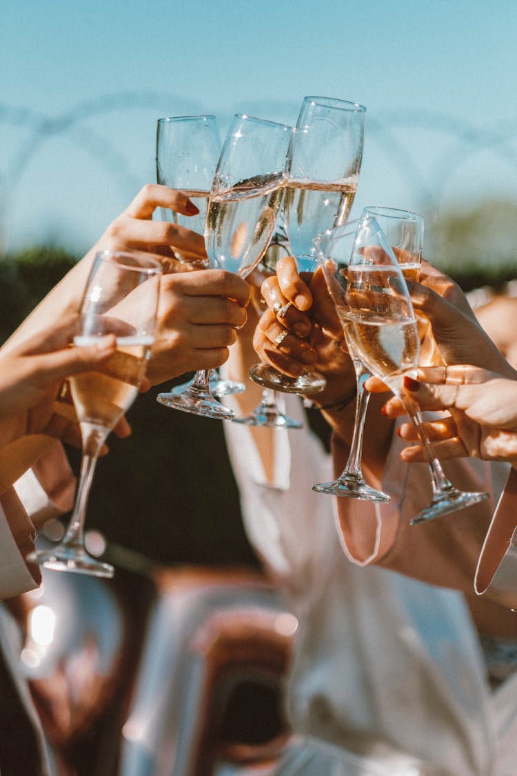 Group Of People Clinking Glasses