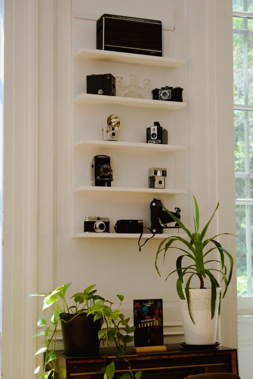Free Decorative wall shelves with vintage cameras and potted plants in a well-lit home interior. Stock Photo