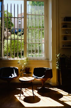 Sunlit interior room with stylish chairs, large windows, and outdoor garden view.