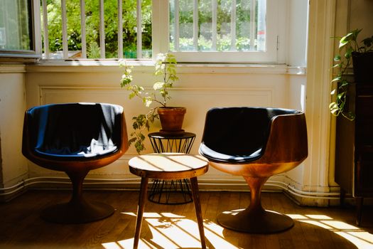 A stylish interior showcasing mid-century modern chairs and a wooden coffee table in warm sunlight.. pexels, stylish, interio