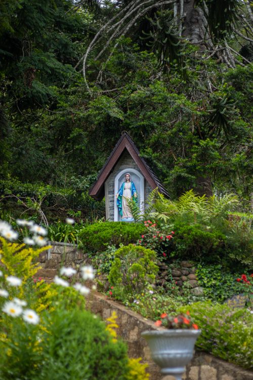 Free A serene statue of the Virgin Mary surrounded by greenery and flowers in a garden. Stock Photo