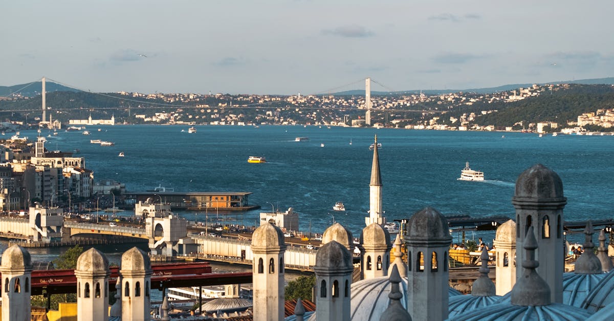 How to find carp in a river