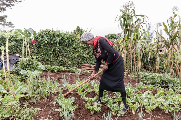 Smiling Woman Using A Hoe On Soil